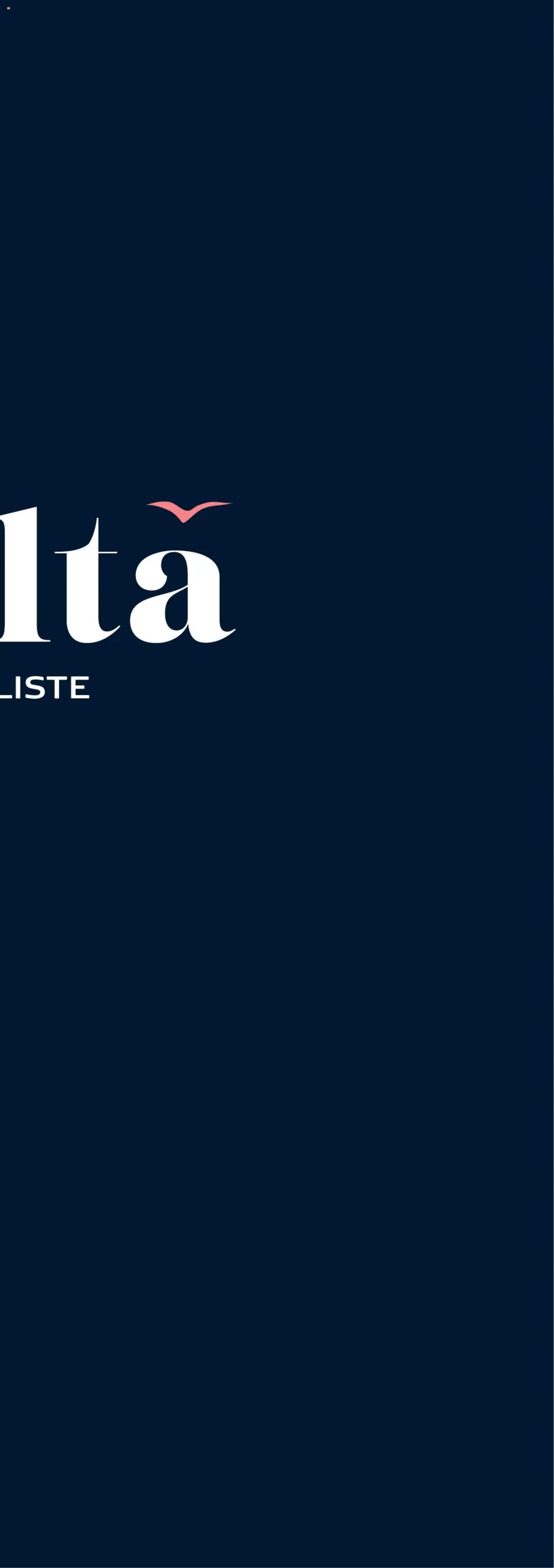 Bauhaus tilbudsavis – gyldig fra 01.01.2026 | Side: 40