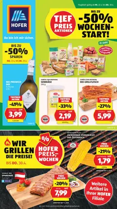 Hofer Flugblatt ab 22.04.2026 gültig