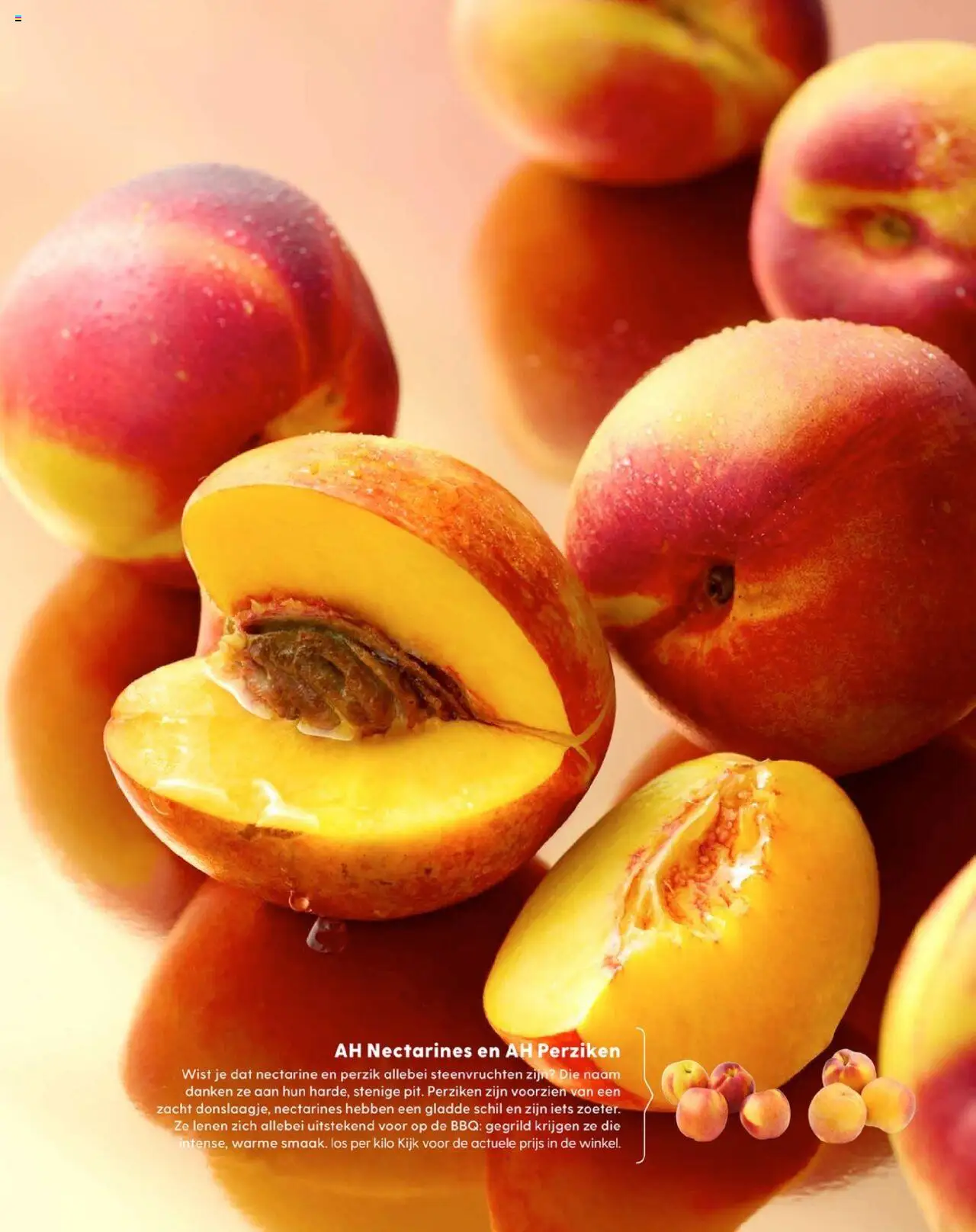  | Pagina: 8 | Producten: Nectarines, Perziken