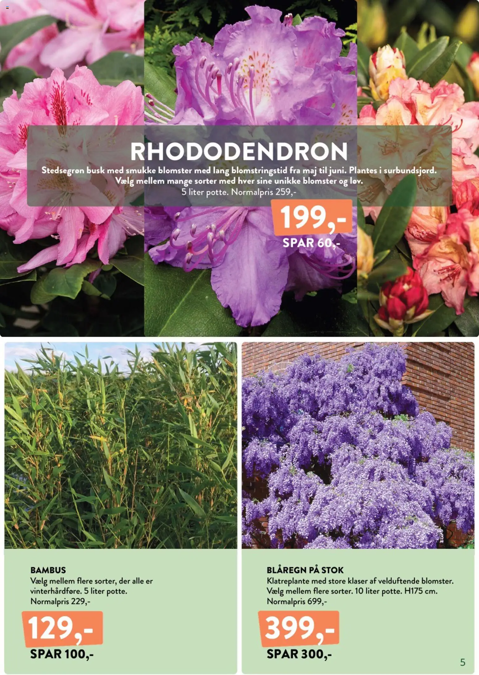 Plantorama tilbudsavis – gyldig fra 10.04.2026 | Side: 5