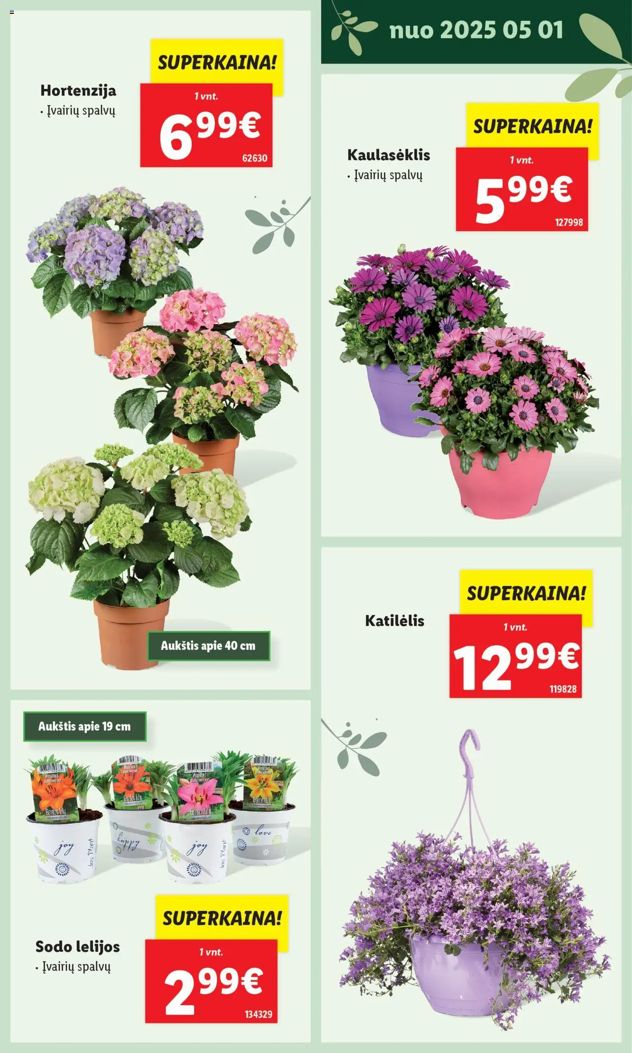 LIDL leidinys - Švenčiame sodą│galioja nuo 12.05.2025 | Puslapis: 35