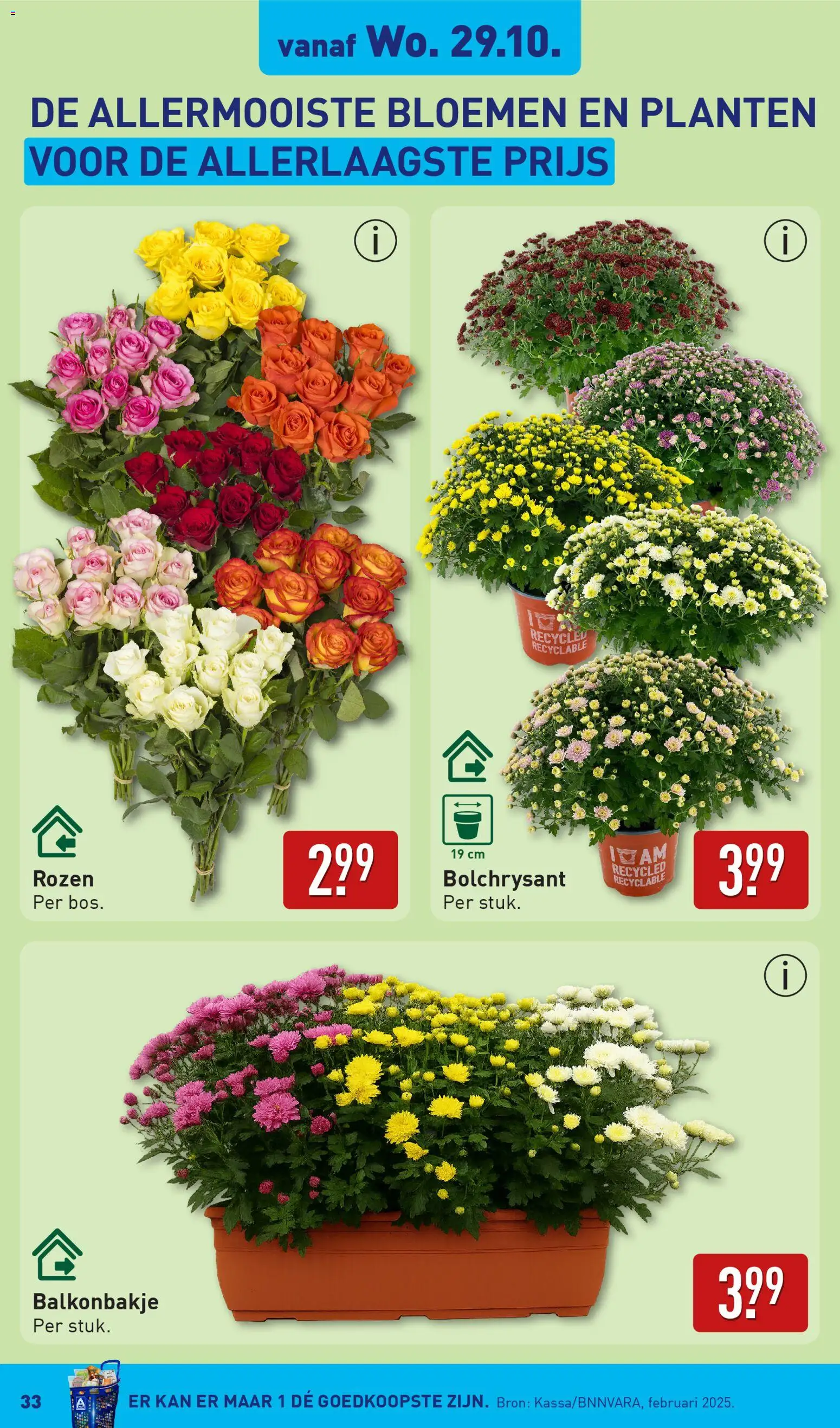 {H1} | Pagina: 33 | Producten: Kan, Bloemen