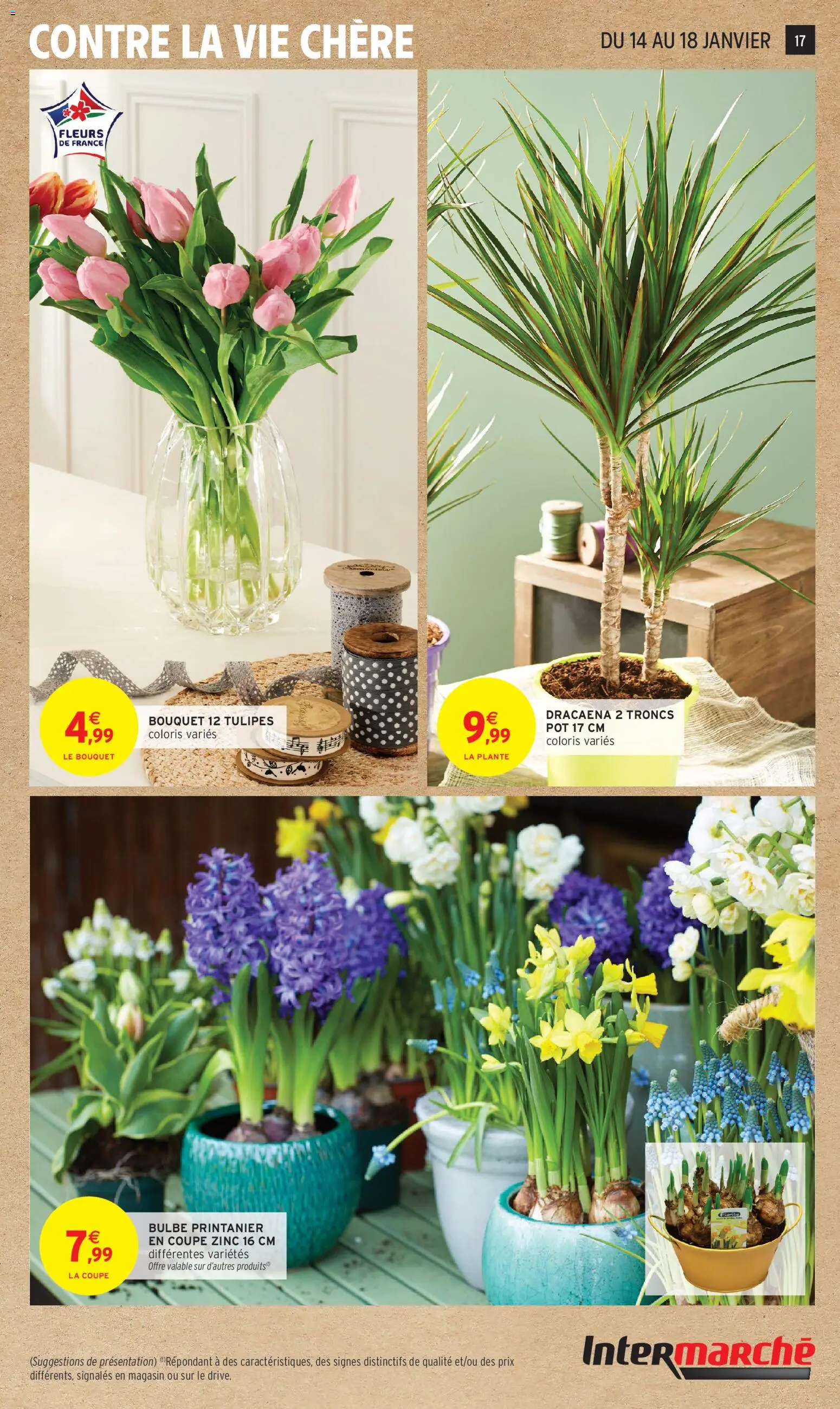 {H1} | Page: 17 | Produits: Tulipes