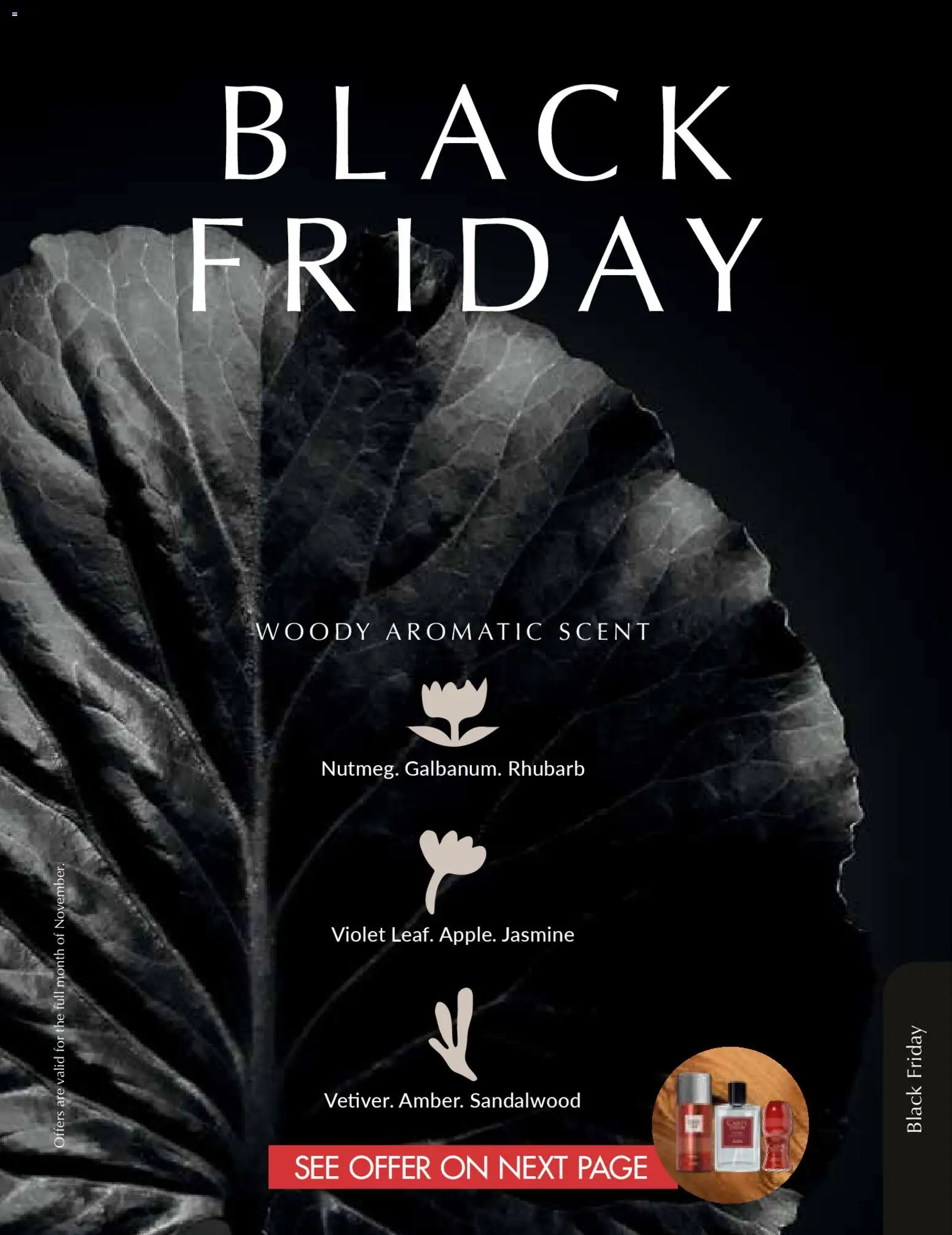 New Justine catalogue – valid from 01.11.2025 | Page: 99