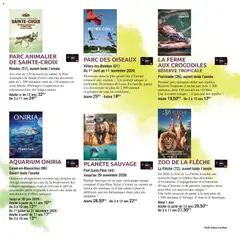 Carrefour City - Prévisualisation de Carrefour City Le book des sorties valide à partir de 03.04.2026 | Page: 11 | Produits: Aquarium