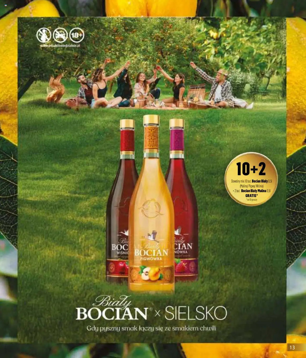 Eurocash Gazetka - Horeca od 01.06.2025 | Strona: 13 | Produkty: Malina