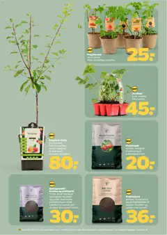 Sphagnumfri krukke og pottejord, 17 liter. Giver optimale betingelser i krukker og potter. Indeholder plantekompost tilsat træfibre for ekstra god struktur til et sundt rodnet. gyldig fra 21.03.2026 | Side: 31 | Produkter: Jordbær, Krukke