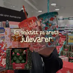 Forhåndsvisning av Normal kundeavis gyldig fra 27.10.2025