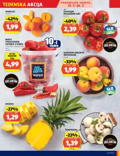 Hofer katalog │ velja od 17.07.2025 | Stran: 7