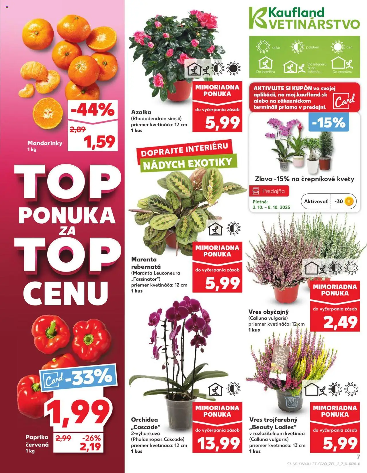 Nové Kaufland akcie – leták je platný od 02.10.2025 | Strana: 7 | Produkty: Paprika, Mandarinky, Kvety, Orchidea