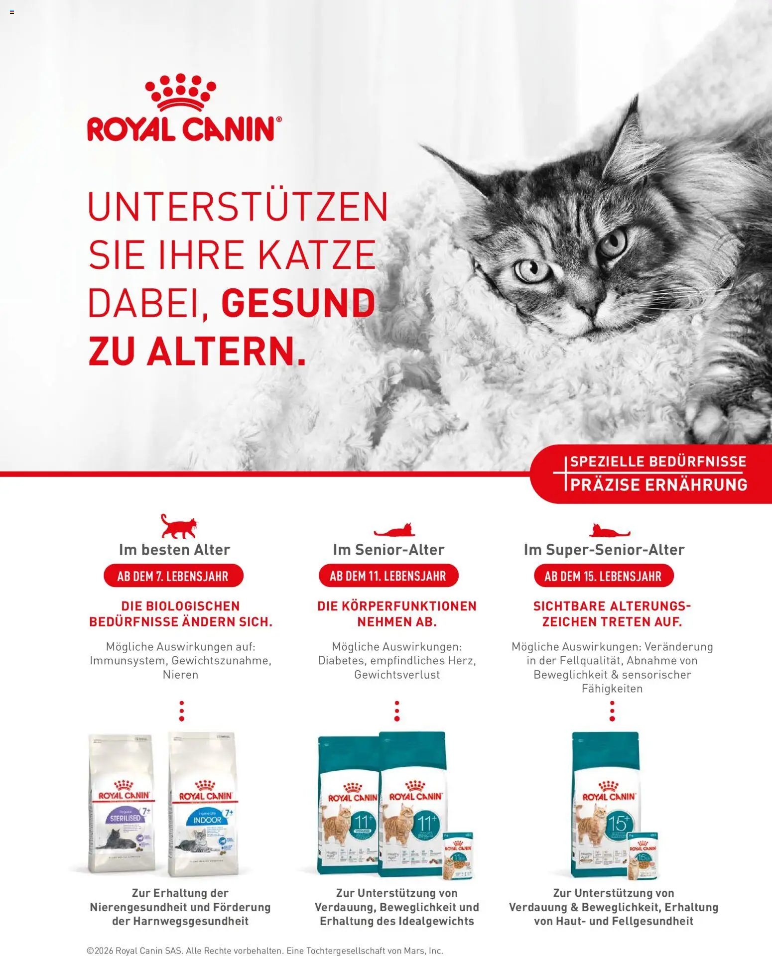 Fressnapf Friends Magazin – gültig ab 02.03.2026 | Seite: 32