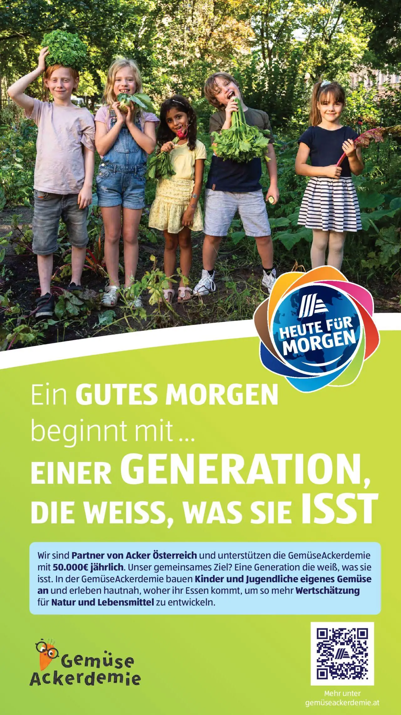 Hofer Flugblatt gültig ab 29.08.2025 | Seite: 23 | Produkte: Gemüse, Libacomb