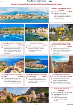 Novi Palma katalog ponudbe – veljaven od 01.08.2025 | Stran: 19 | Izdelki: Mandarine