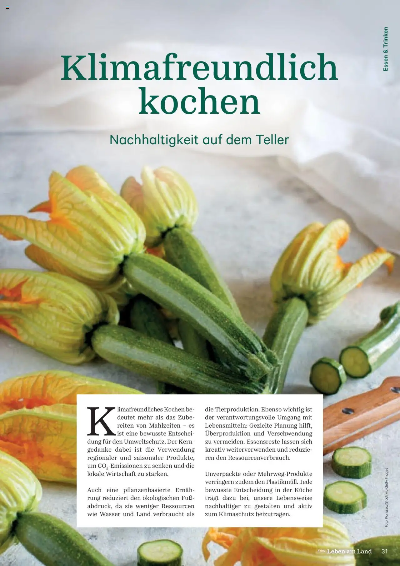 Lagerhaus Fürs Leben am Land Magazin gültig ab 28.04.2025 | Seite: 31 | Produkte: Wasser