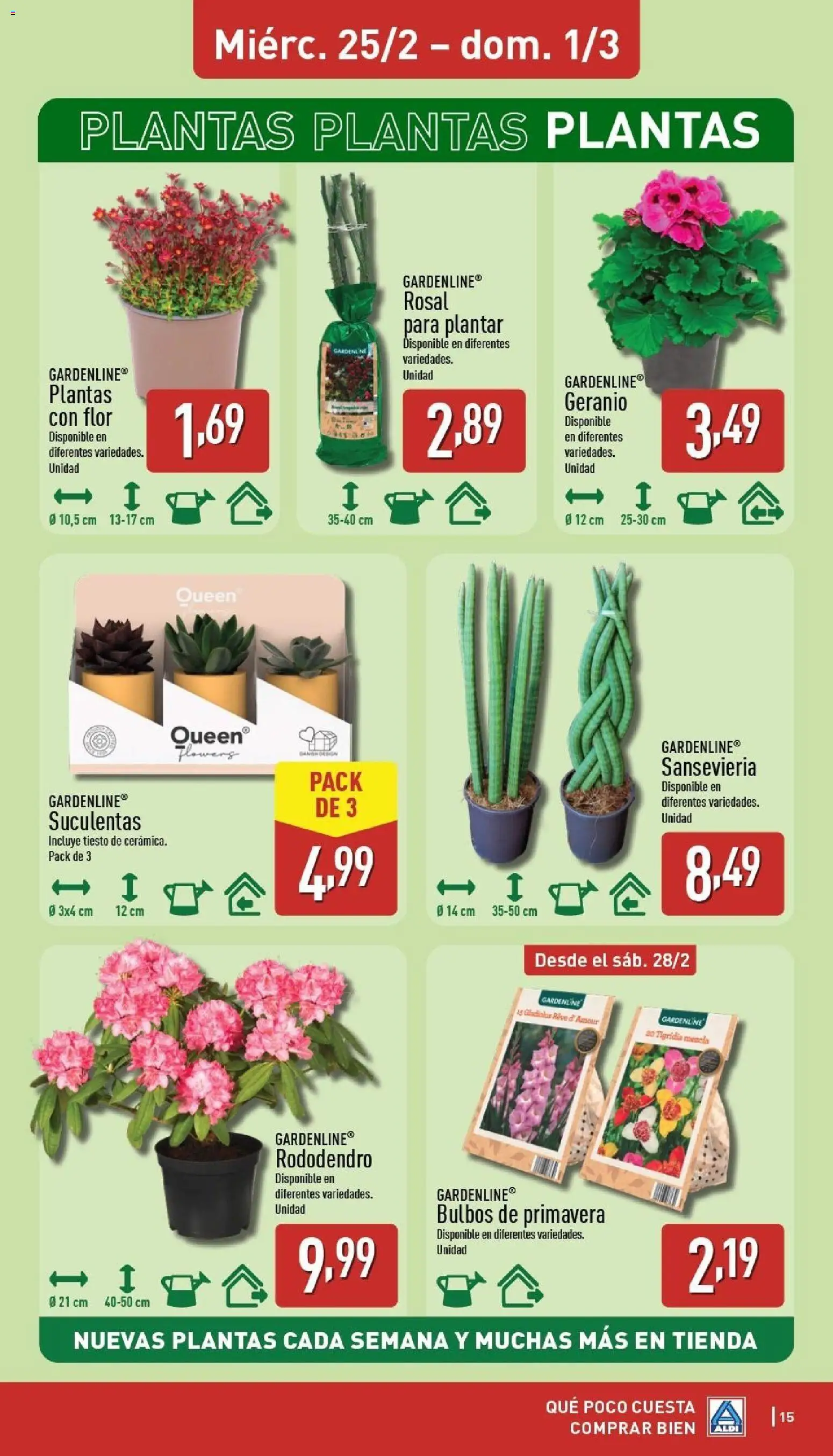 Aldi folleto Baleares │ válido desde el 23.02.2026 | Página: 15