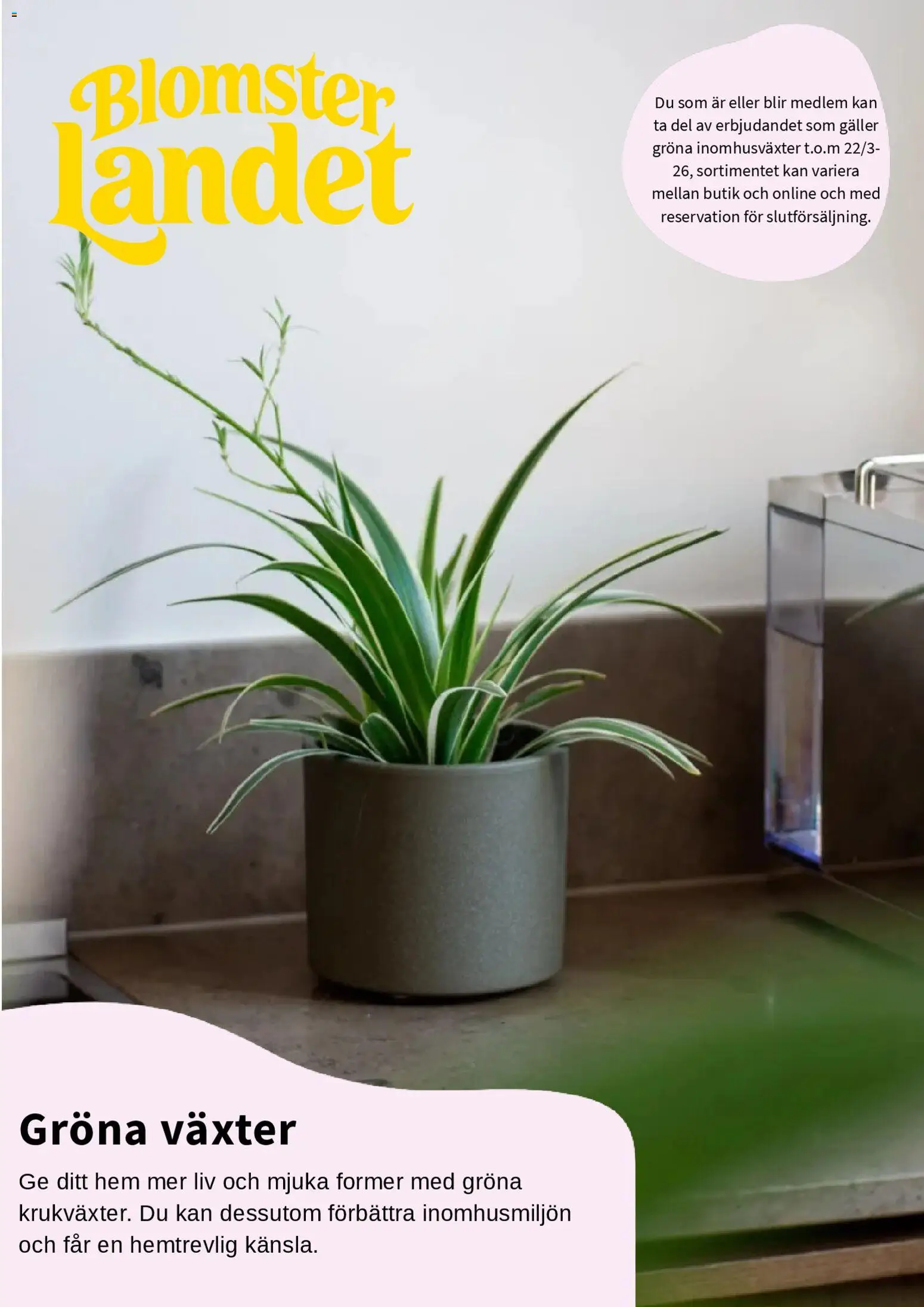 Blomsterlandet reklamblad aktuell från 11.03.2026 | Sida: 1 | Produkter: Galler