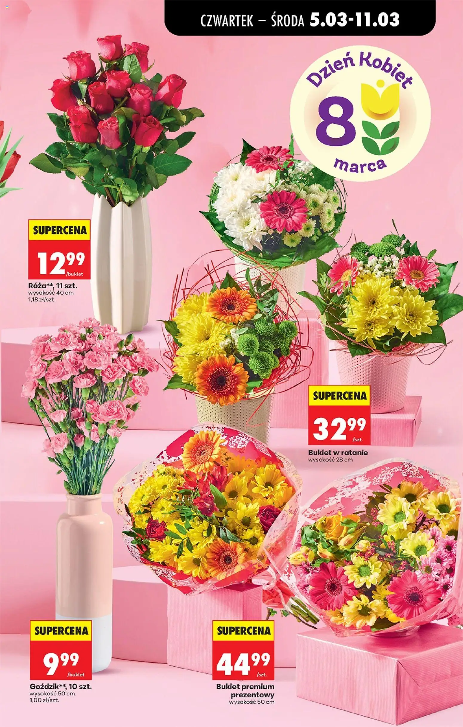 Biedronka Polsko leták - Codziennie niskie ceny od 05.03.2026 | Strana: 13