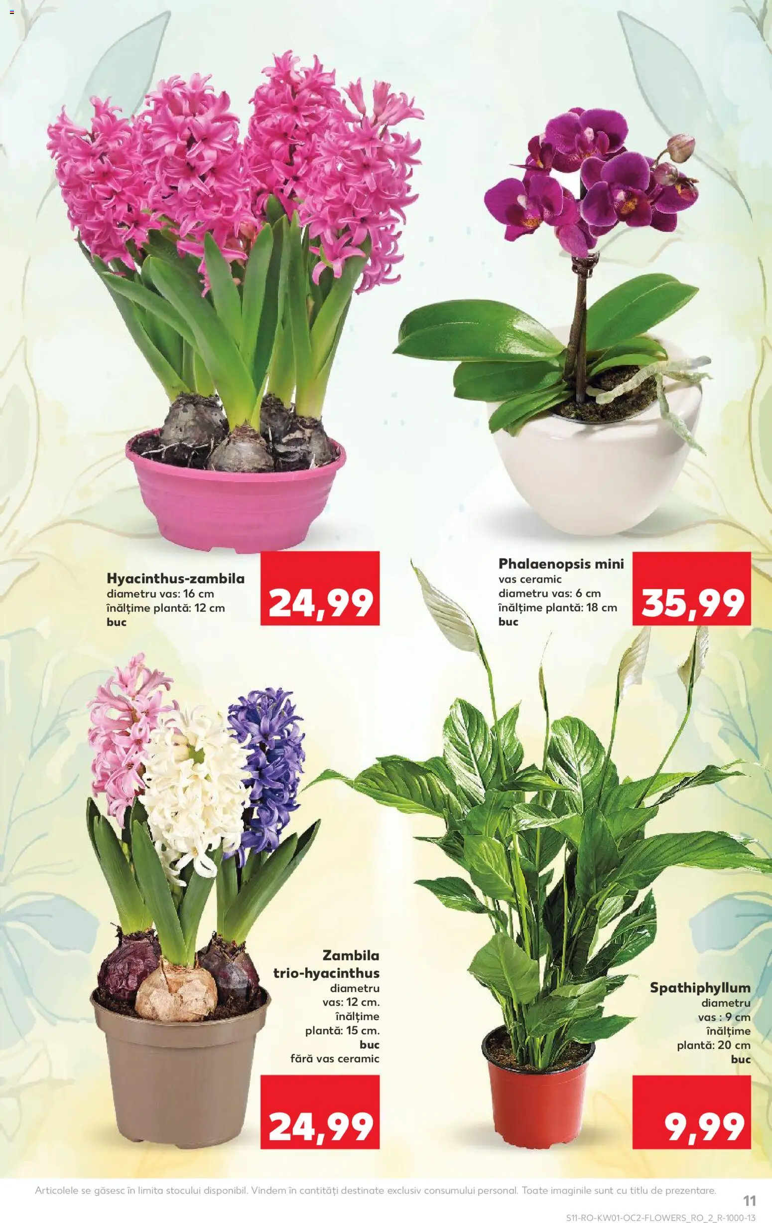 Noul catalog Kaufland – valabil de la 31.12.2025 | Pagină: 11