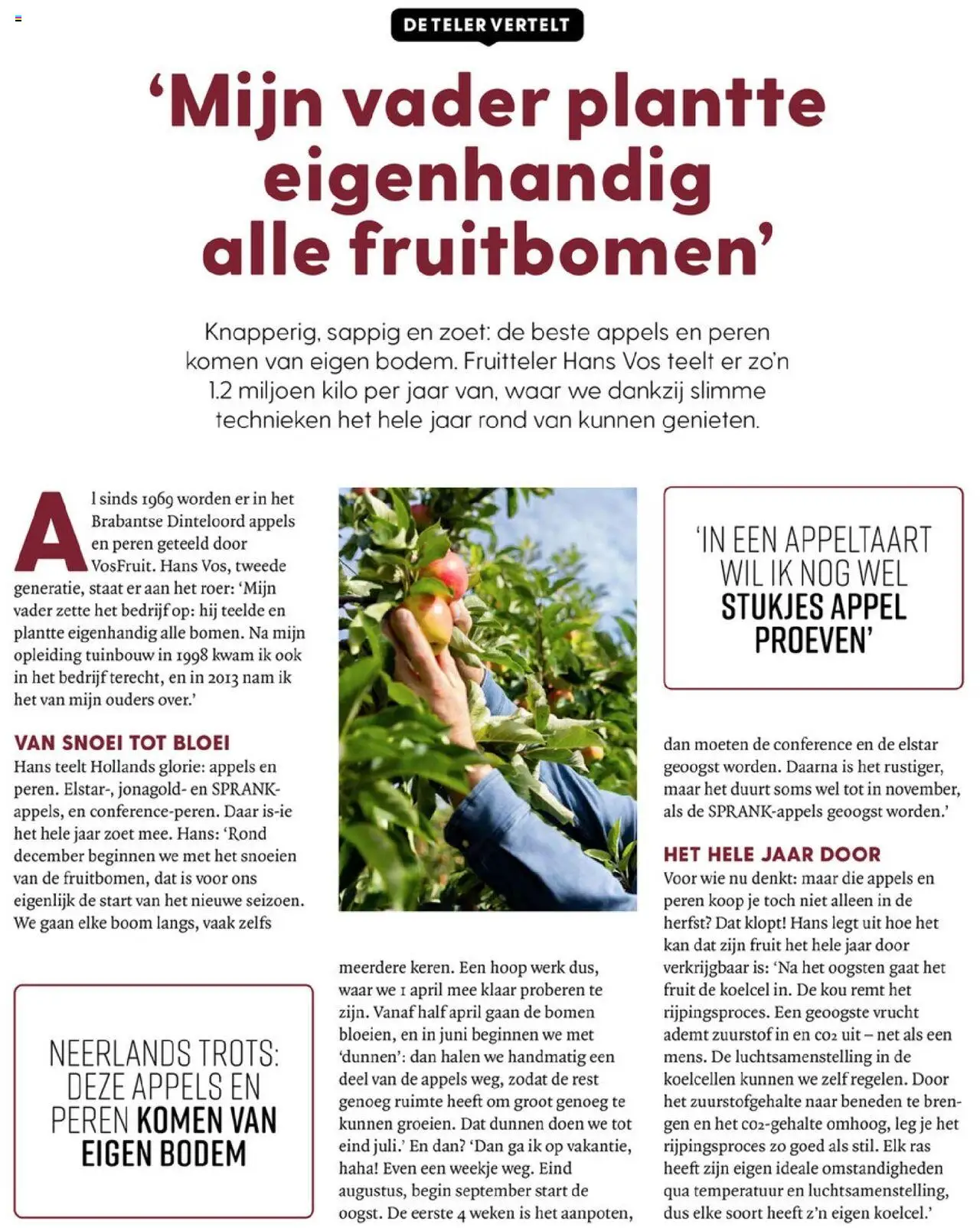 {H1} | Pagina: 100 | Producten: Appels, Appeltaart, Fruit, Appel