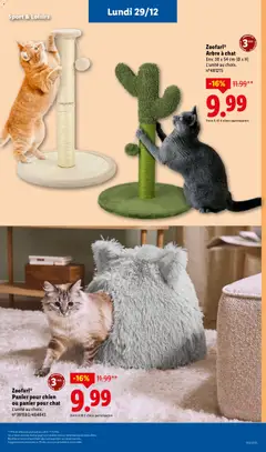 LIDL - Prévisualisation de Zoofari® Panier pour chien ou panier pour chat, L'unité au choix. valide à partir de 27.12.2025 | Page: 71 | Produits: Arbre à chat, Panier pour chat, Panier pour chien, Panier
