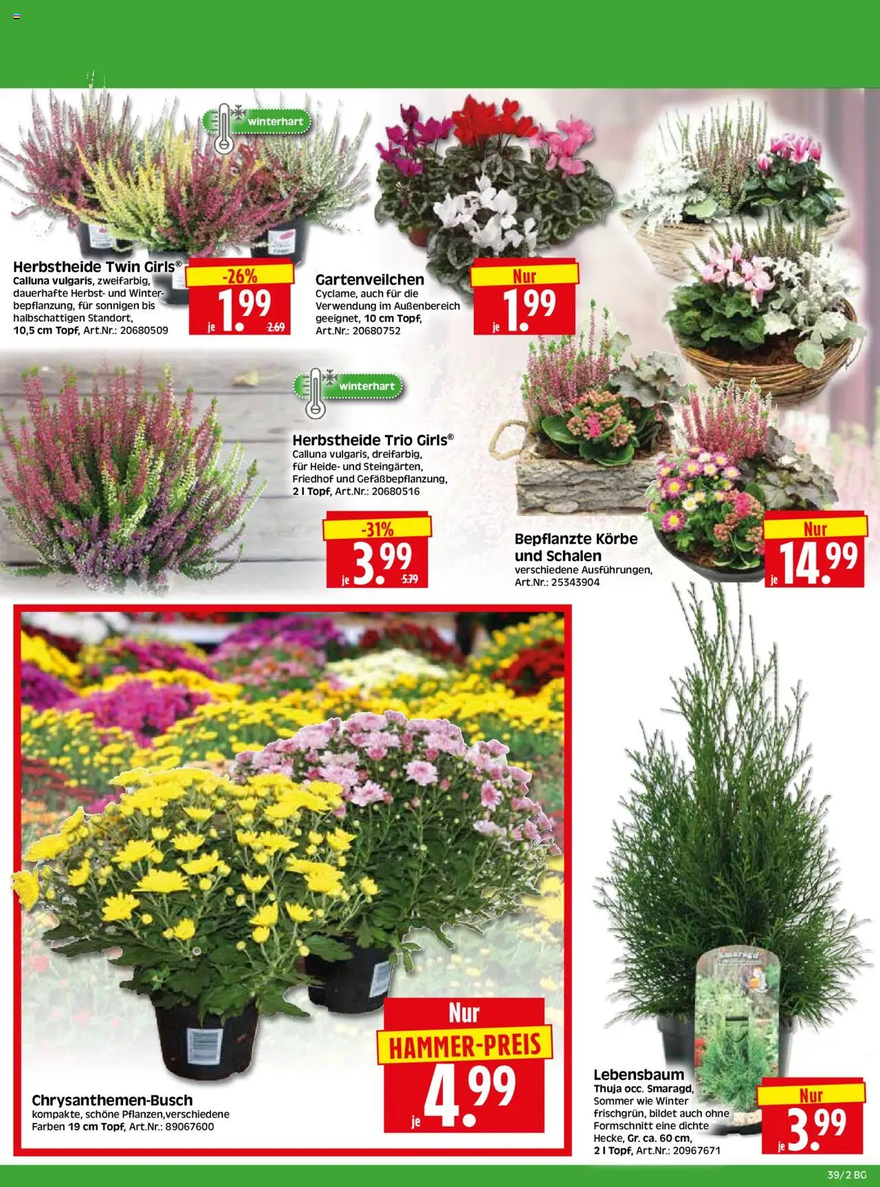 HERKULES Bau & Garten – gültig ab 22.09.2025 | Seite: 2