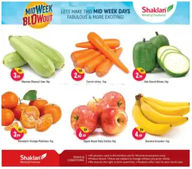 Preview of Shaklan - Midweek Blow Out - Wadi Al Safa 5, Dubailand valid from 22.12.2025 | Page: 3