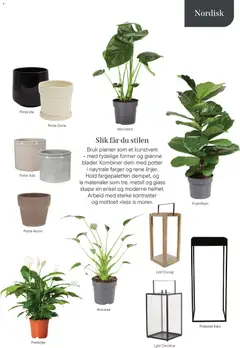 Forhåndsvisning av Plantasjen kundeavis gyldig fra 08.01.2026 | Side: 13 | Produkter: Будівельні суміші, Датчик руху, Glass, Lykt