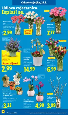 Katalog Lidl - Pregled kataloga iz trgovine Lidl, vrijedi od 23.03.2026 | Stranica: 28
