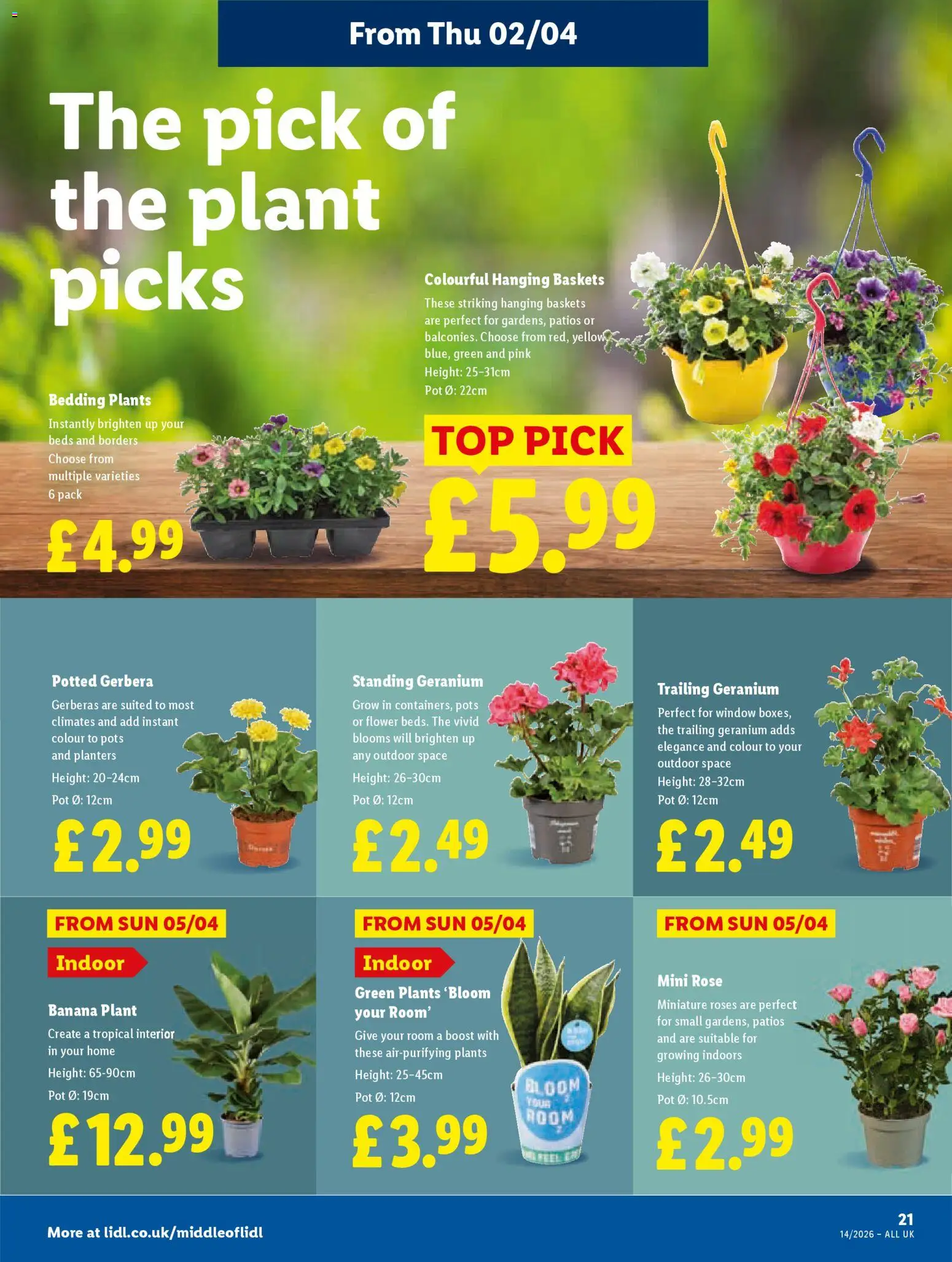 {H1} | Page: 27 | Products: Pot, Roses, Jääkaappipakastin