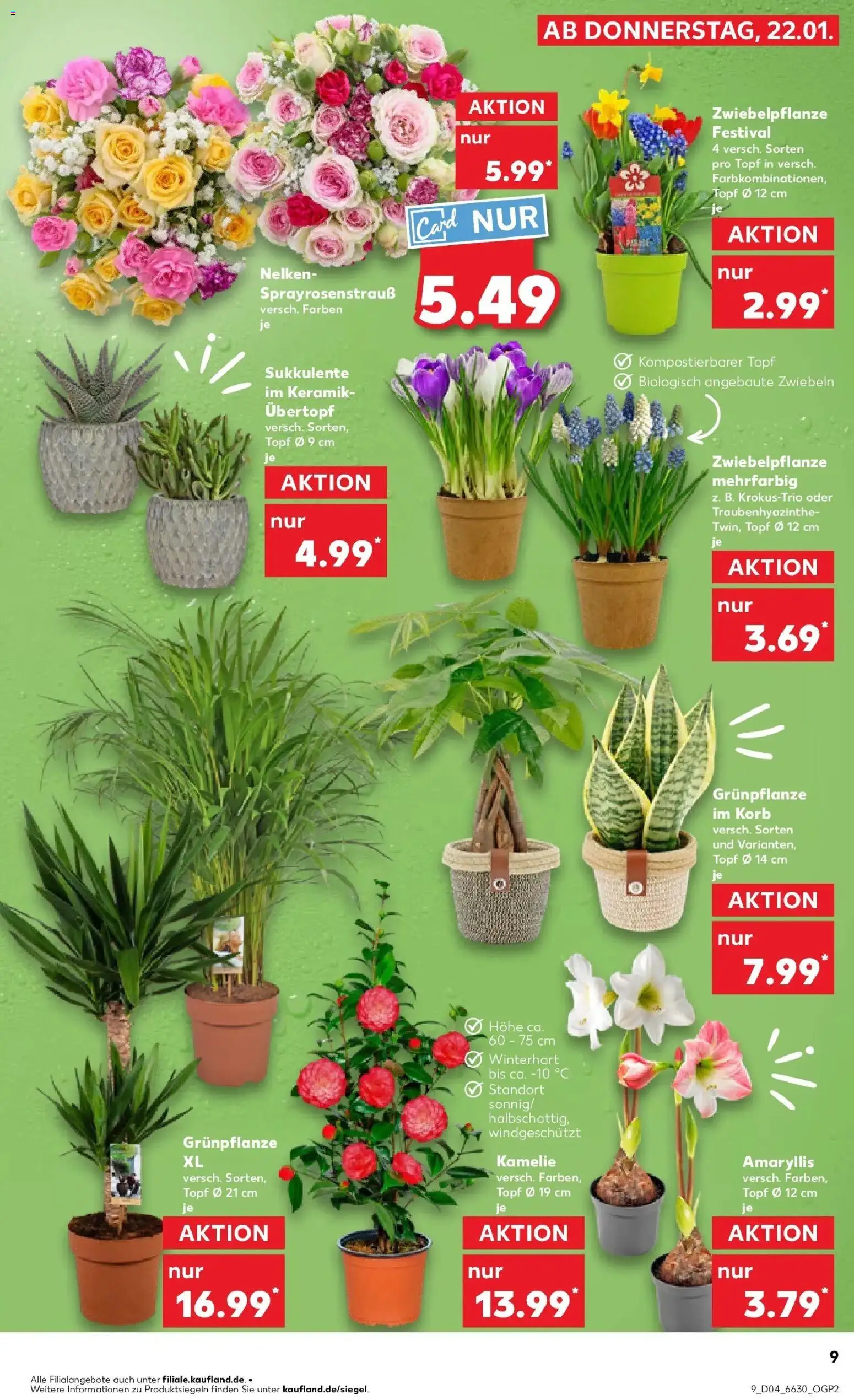 Kaufland prospekt Sulzbach-Rosenberg	 – gültig ab 25.01.2026 | Seite: 9