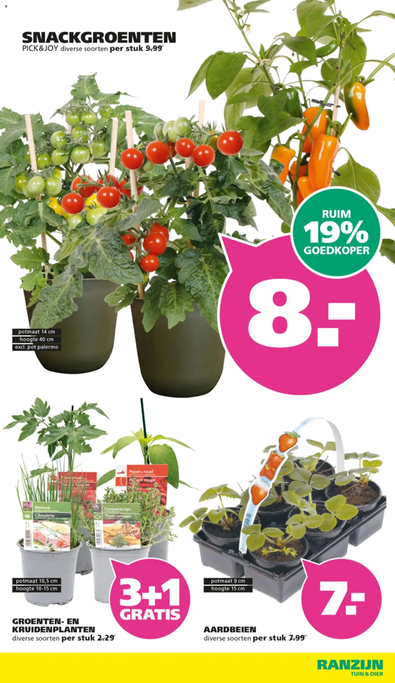 {H1} | Pagina: 6 | Producten: Pepers, Pot, Aardbeien, Groenten