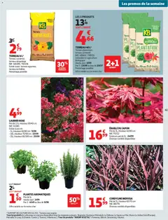 Auchan - Prévisualisation de Auchan prospectus valide à partir de 21.04.2026 | Page: 45 | Produits: Terreau Universel, Laurier Rose, Plantes, Terreau