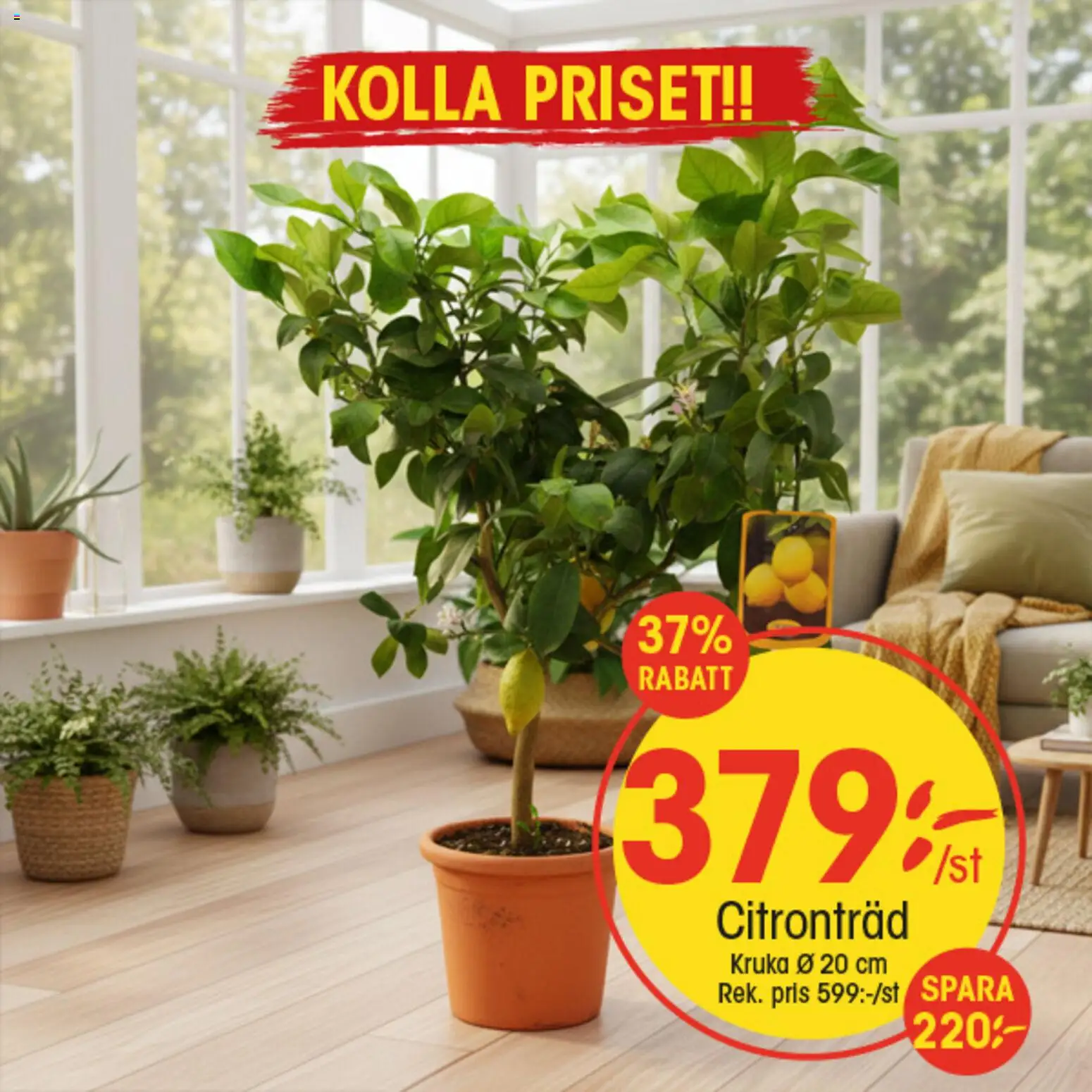 EKO reklamblad aktuell från 09.03.2026 | Sida: 6 | Produkter: Kruka