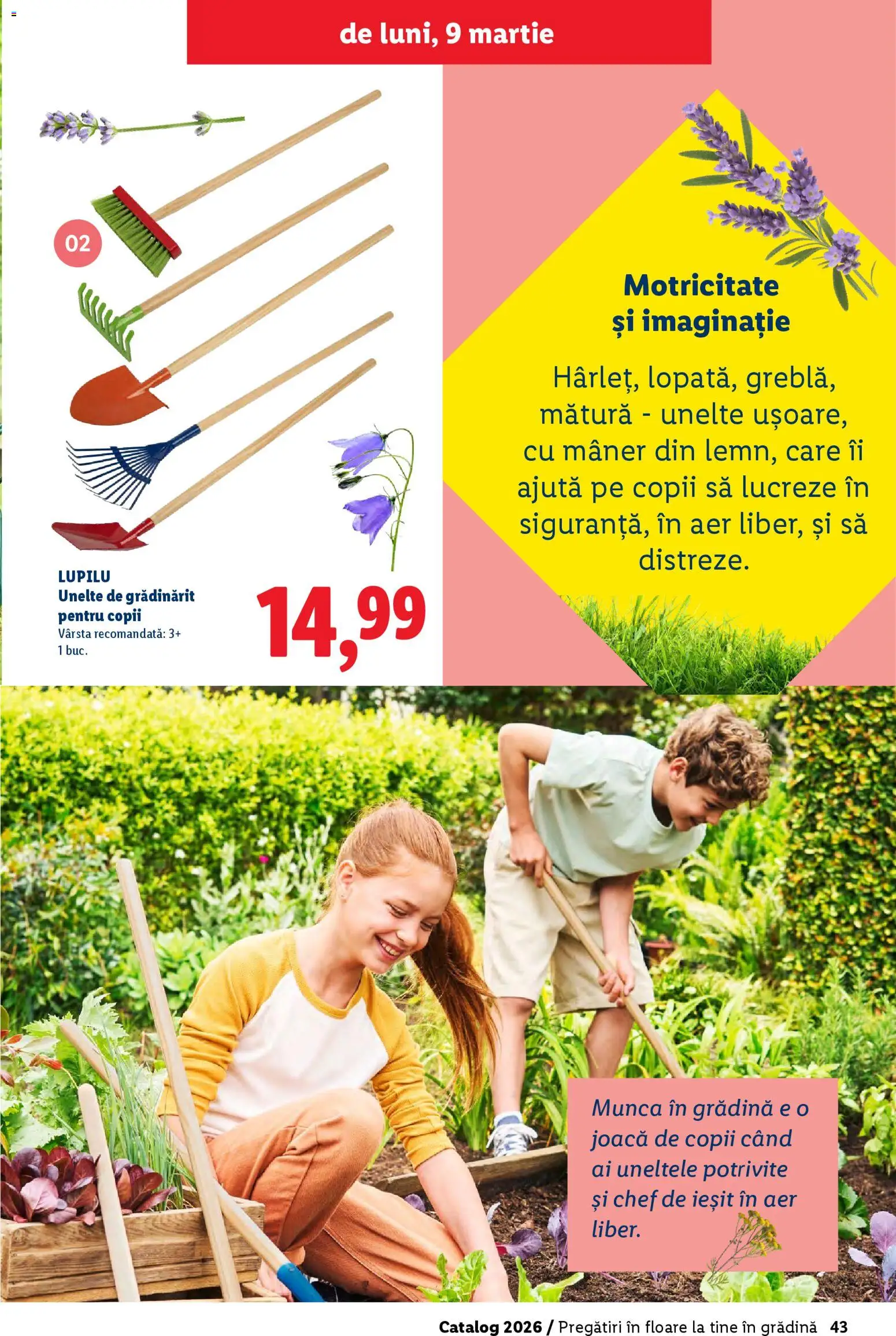Noul catalog Lidl – valabil de la 19.02.2026 | Pagină: 43 | Produse: Mătură, Mâner