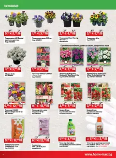 Преглед на HomeMax брошура - Офертите са валидни от 29.01.2026 | Страница: 4 | Продукти: Разстения