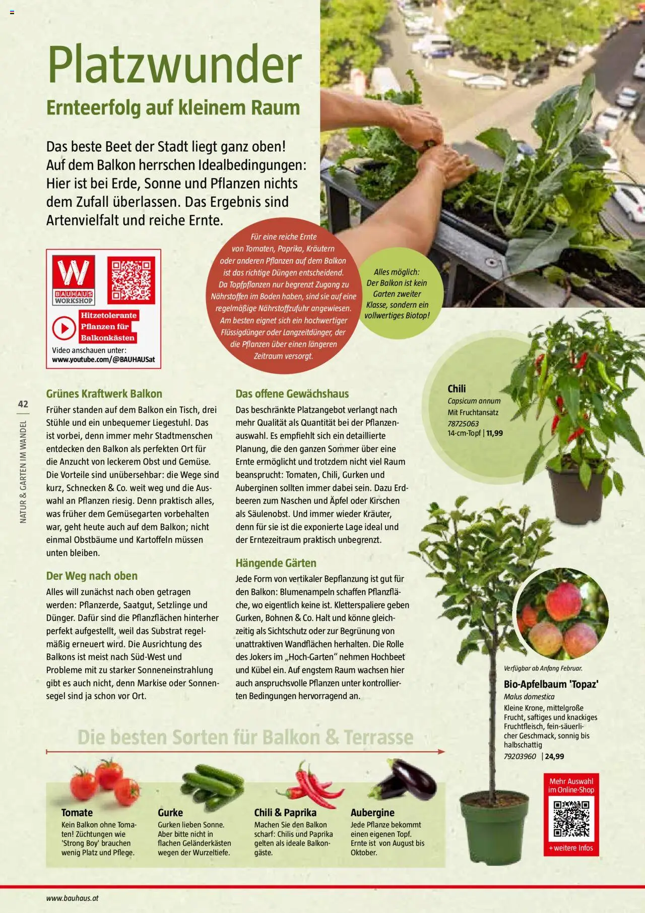 Bauhaus Reiche Ernte Magazin 2025 gültig ab 01.07.2025 | Seite: 42 | Produkte: Gurken, Kartoffeln, Obst, Chili