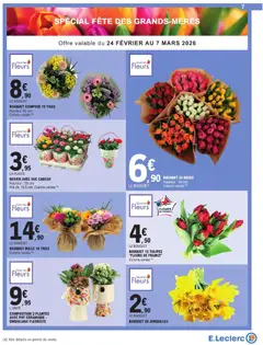 E.Leclerc - Prévisualisation de E.Leclerc catalogue semaine 9 valide à partir de 24.02.2026 | Page: 7