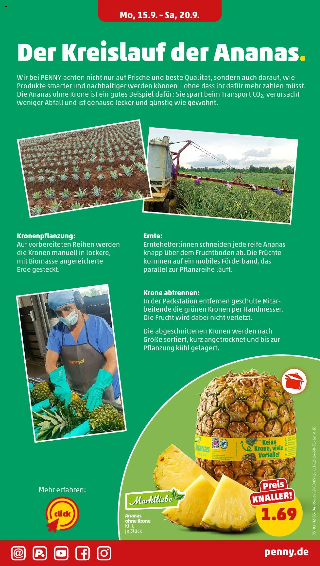 Penny Prospekt 	 – gültig ab 15.09.2025 | Seite: 5 | Produkte: Ananas