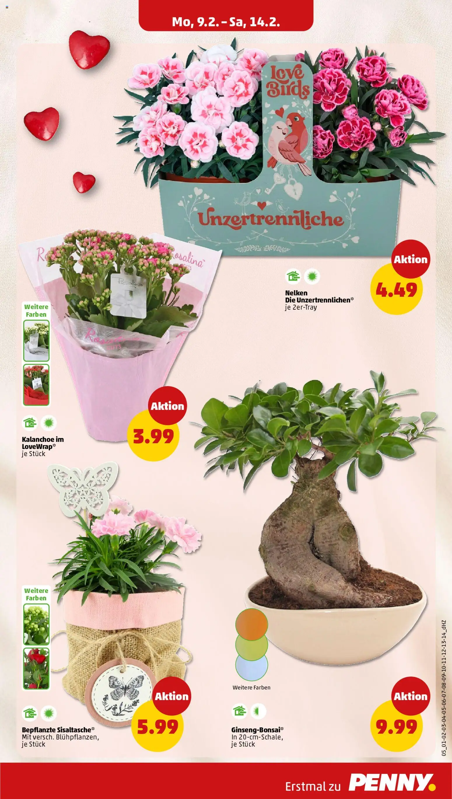Penny Prospekt 	 – gültig ab 09.02.2026 | Seite: 9