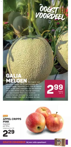  | Pagina: 13 | Producten: Meloen, Kan, Appel