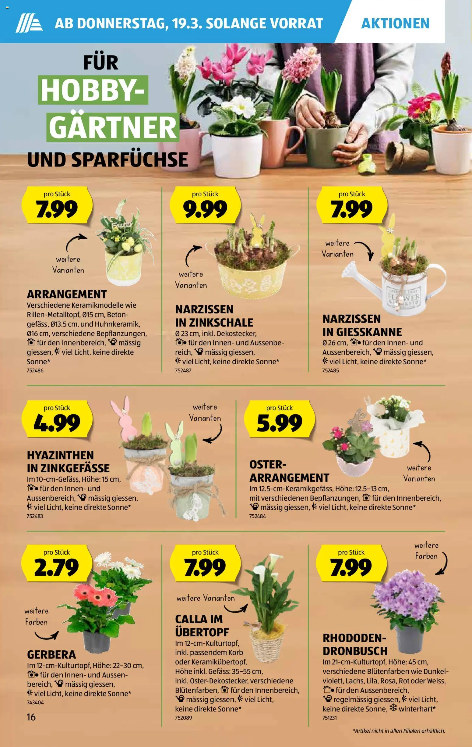 Aldi aktionen – gültig ab 19.03.2026 | Seite: 17 | Produkte: Korb
