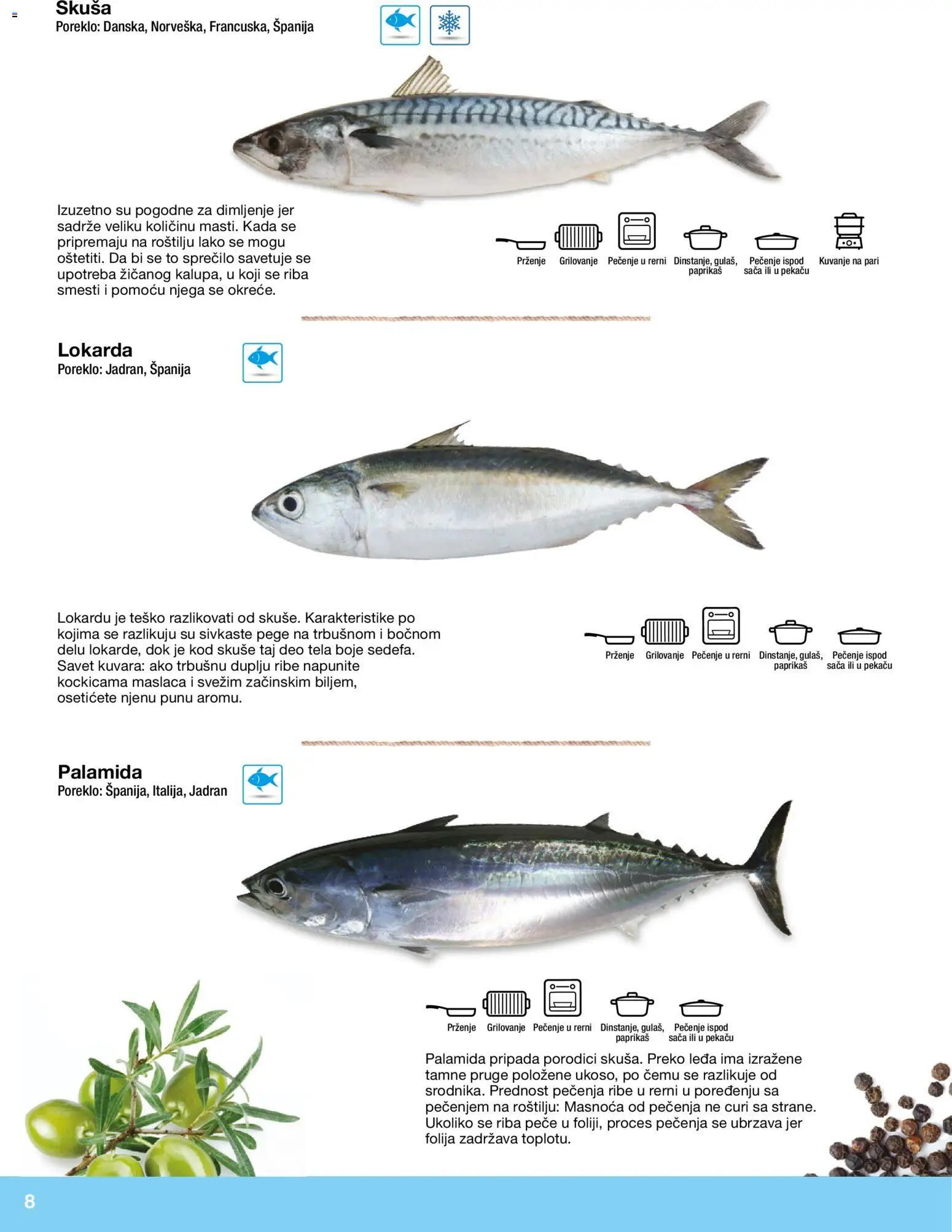 Metro katalog - važi od 10.12.2025 | Strana: 8 | Proizvode: Skuša, Riba