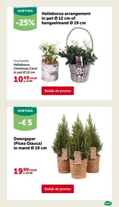 Aveve folder - Voorbeeld van een folder van Aveve, geldig van 26.11.2025 | Pagina: 25 | Producten: Mand, Pot