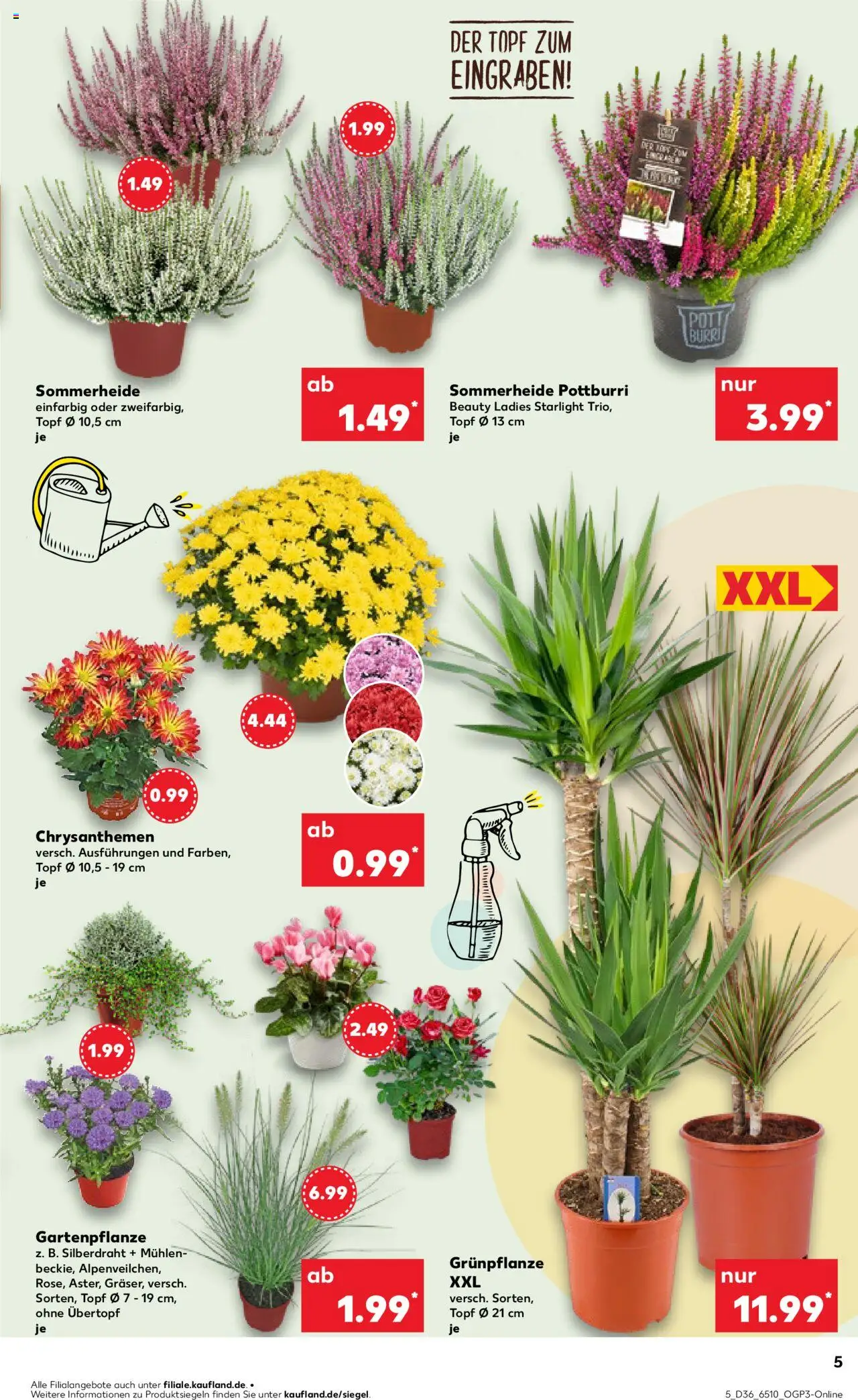 Kaufland prospekt Bremen	 - gültig ab dem 04.09.2025 | Seite: 5