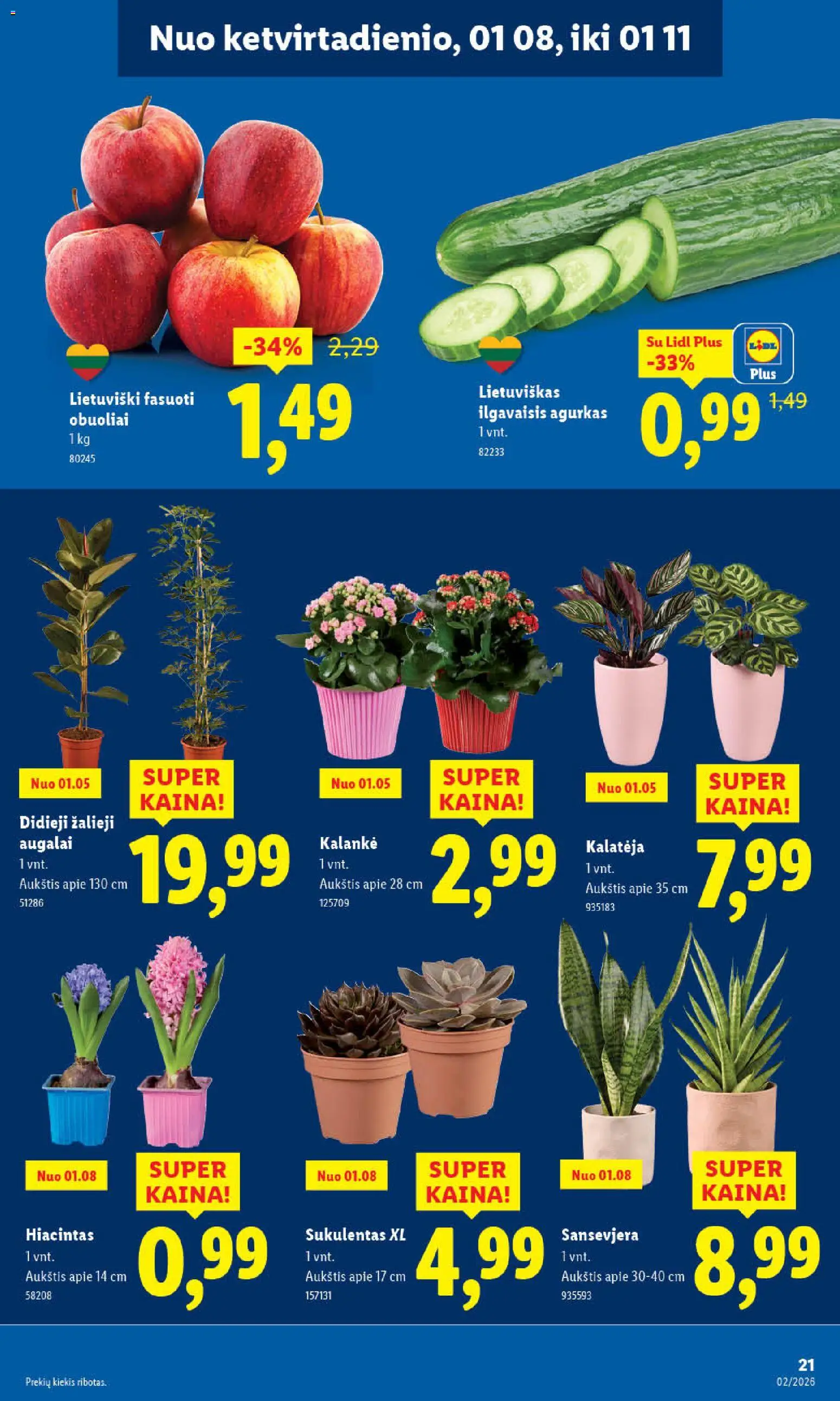 LIDL akcijos nuo 05.01.2026 | Puslapis: 21 | Prekių: Agurkas, Obuoliai