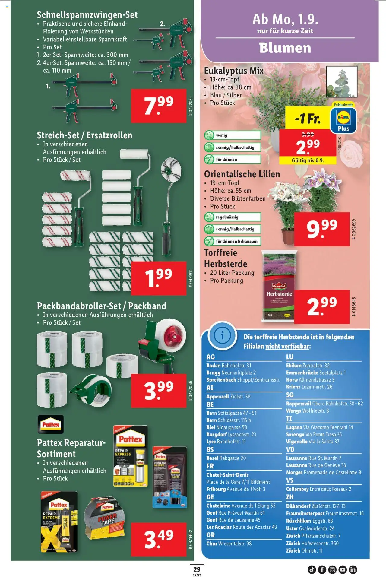 Lidl Aktionen ab 28.08.2025 | Seite: 31