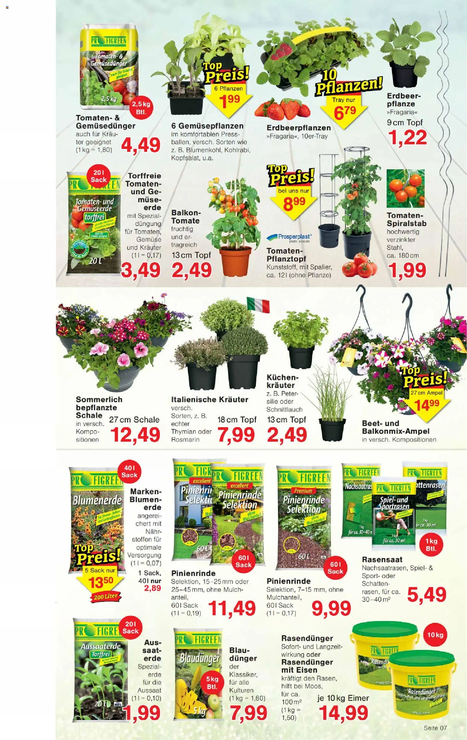 Wiglo Wunderland Prospekt – gültig ab 27.04.2026 | Seite: 11 | Produkte: Tomaten, Blumenerde, Gemüse, Kuchen