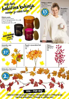 TEDi katalog akcije – veljaven od 17.10.2025 | Stran: 25 | Izdelki: Skodelica, Odeja, Sveča, Šopek
