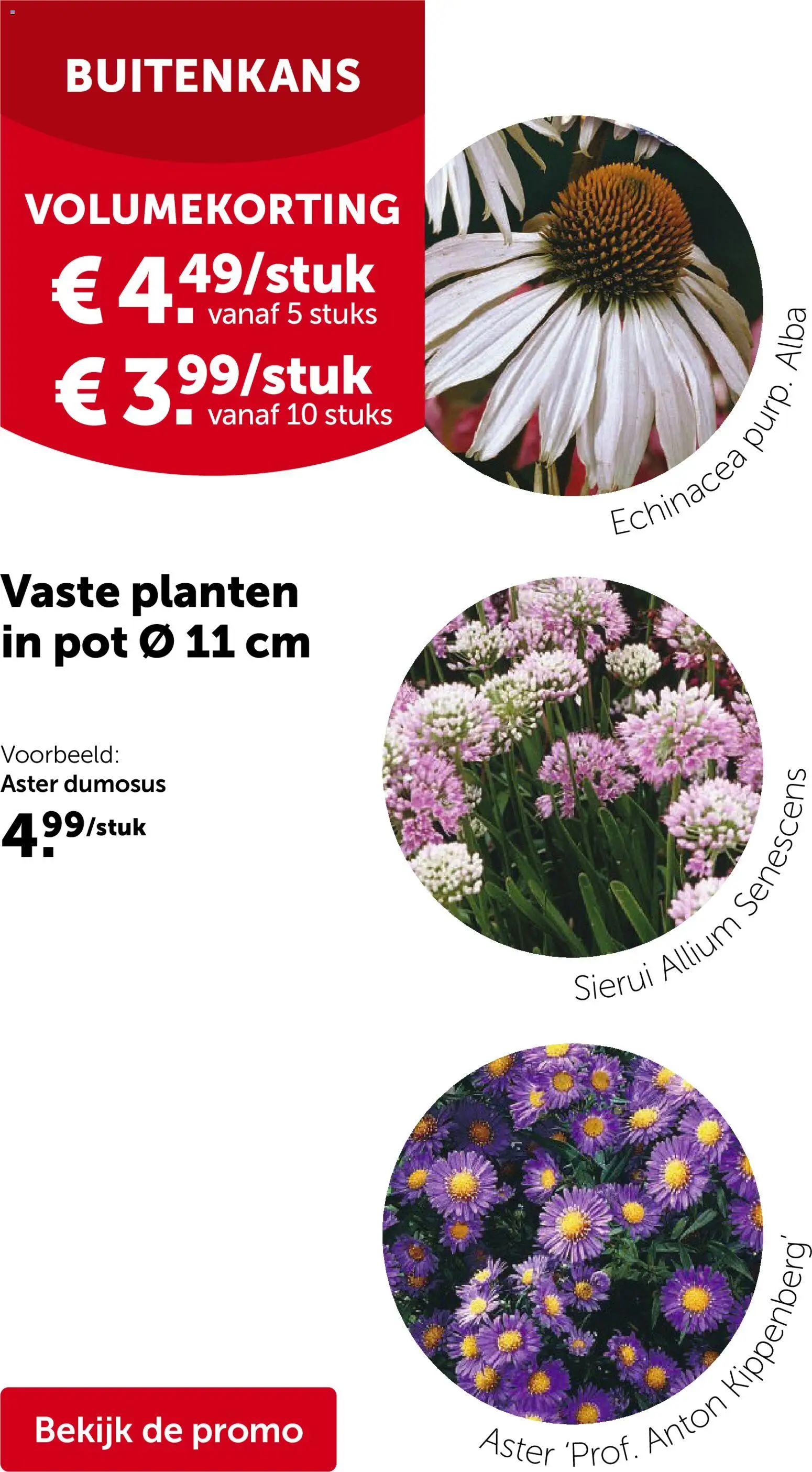 {H1} | Pagina: 8 | Producten: Pot