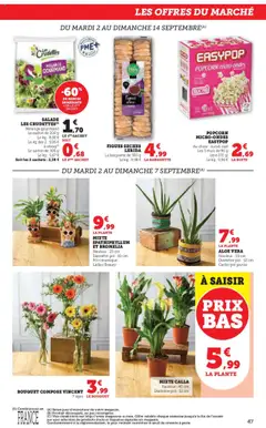  | Page: 47 | Produits: Salade, Sucre, Popcorn, Panier